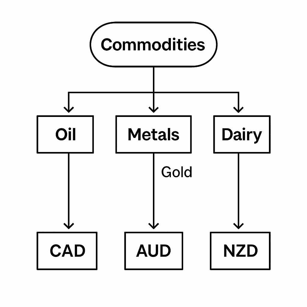 Diagram showing how oil, metals, and dairy link to CAD, AUD, and NZD in commodity currency pairs